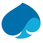 Capgemini NL
